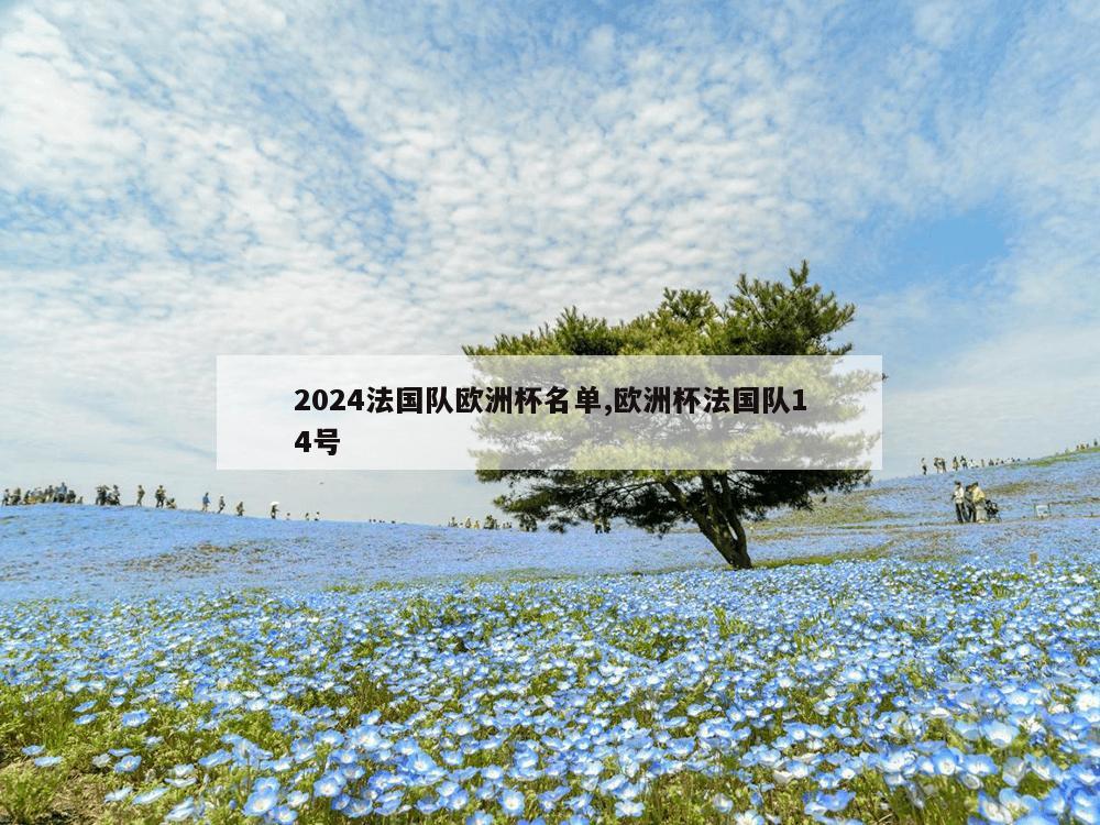 2024法国队欧洲杯名单,欧洲杯法国队14号