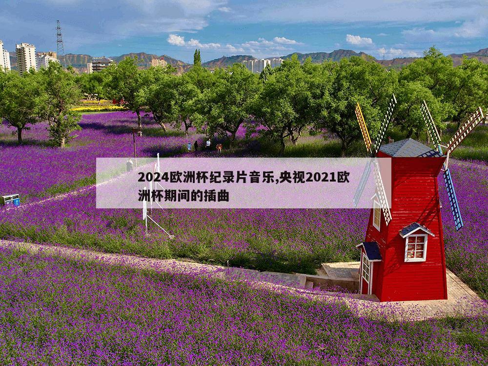 2024欧洲杯纪录片音乐,央视2021欧洲杯期间的插曲