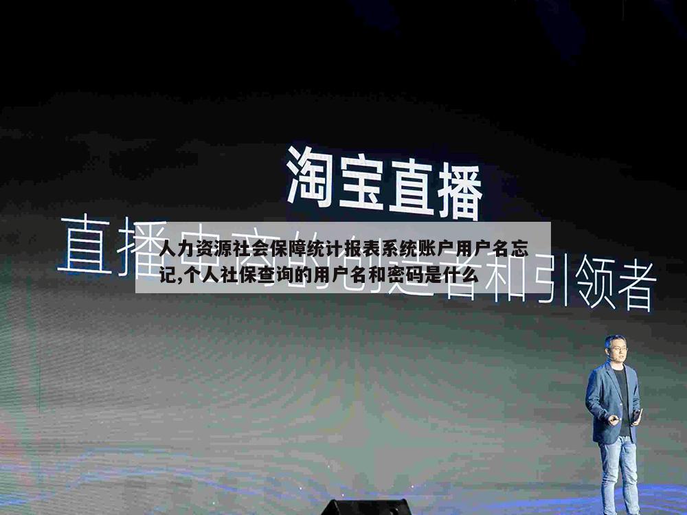 人力资源社会保障统计报表系统账户用户名忘记,个人社保查询的用户名和密码是什么