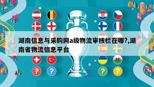 湖南信息与采购网a级物流审核栏在哪?,湖南省物流信息平台