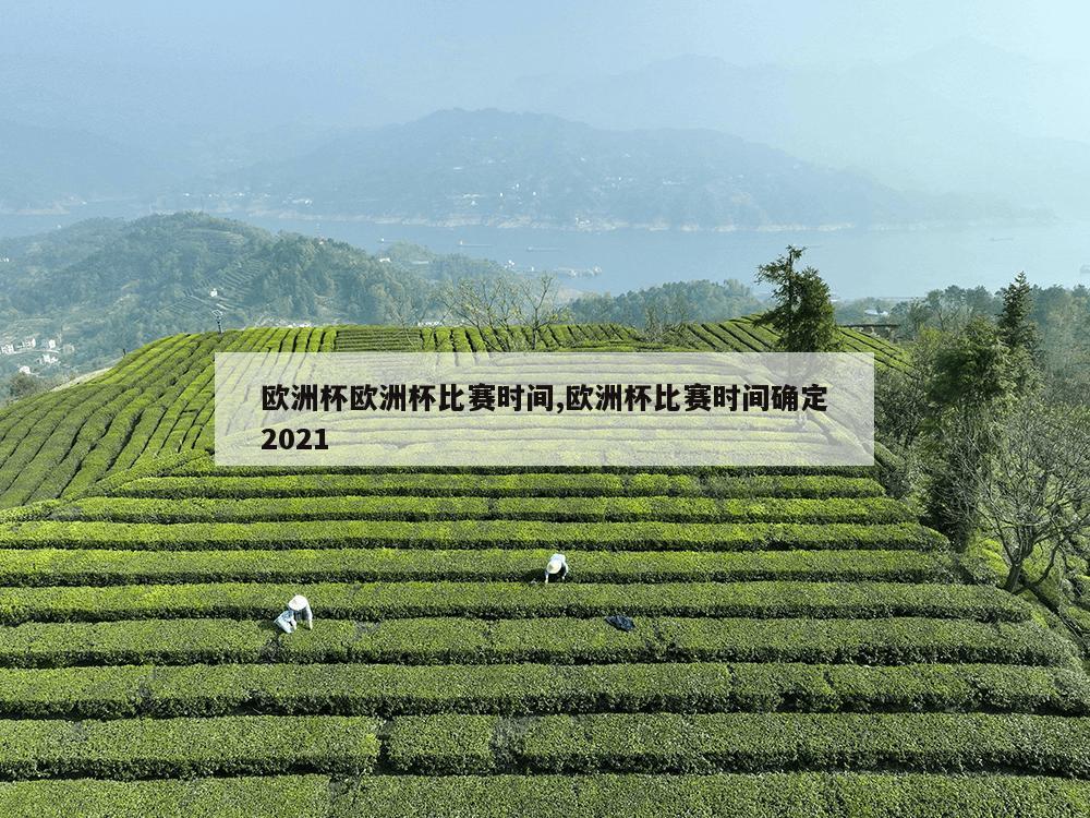 欧洲杯欧洲杯比赛时间,欧洲杯比赛时间确定2021