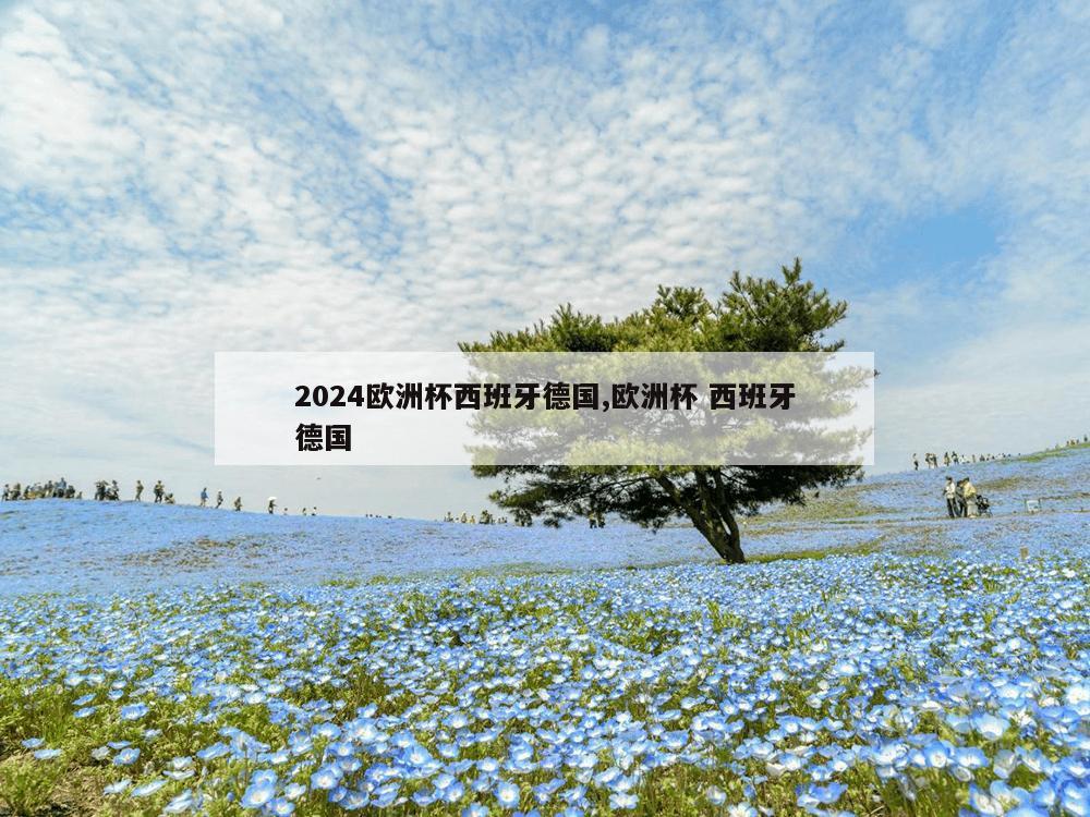 2024欧洲杯西班牙德国,欧洲杯 西班牙德国