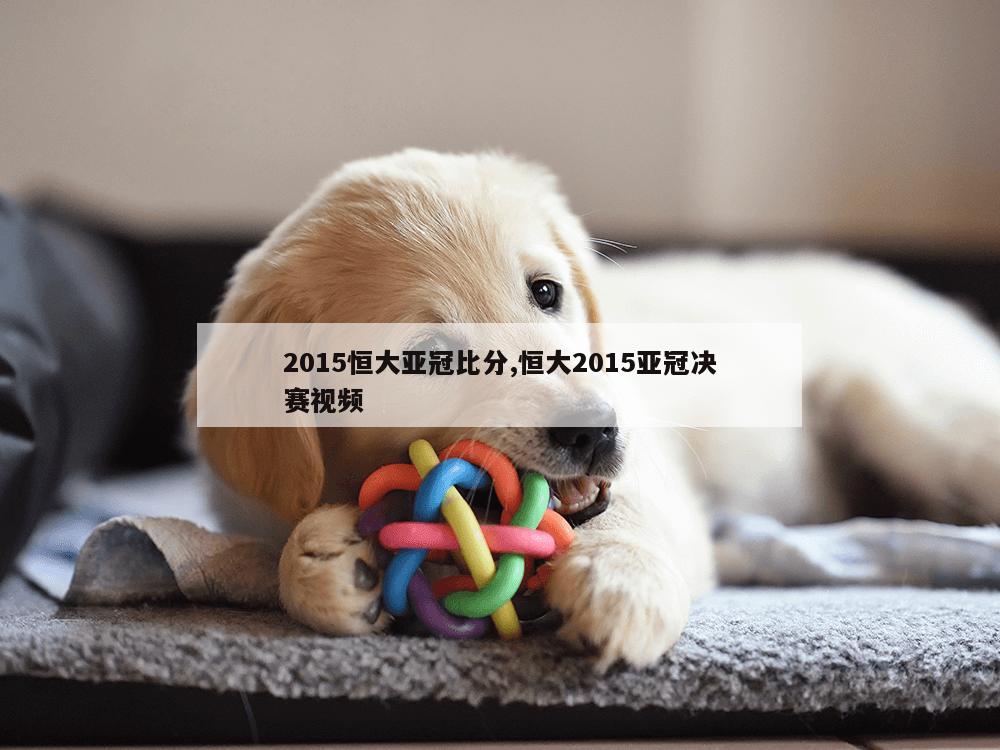 2015恒大亚冠比分,恒大2015亚冠决赛视频