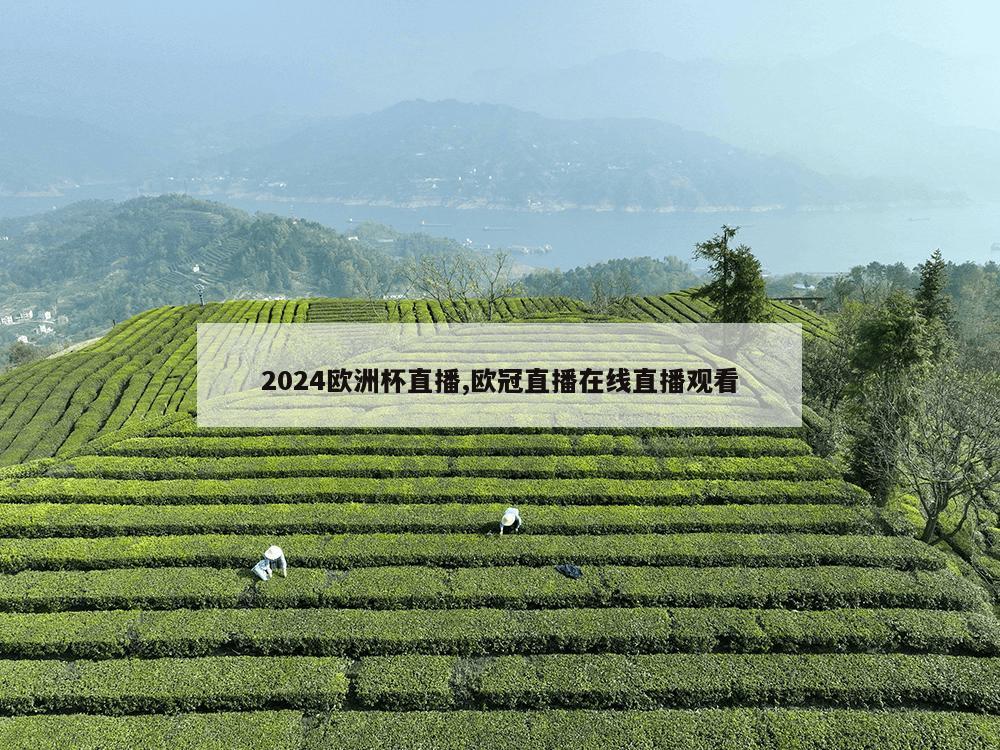 2024欧洲杯直播,欧冠直播在线直播观看