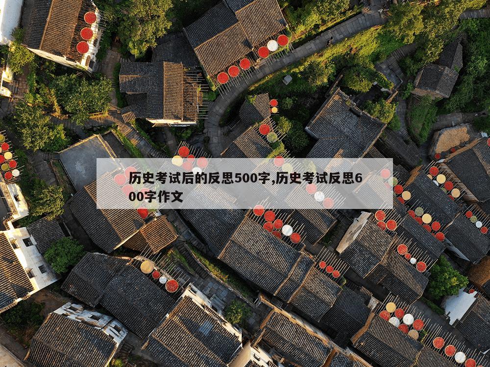 历史考试后的反思500字,历史考试反思600字作文