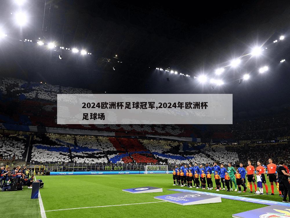 2024欧洲杯足球冠军,2024年欧洲杯足球场