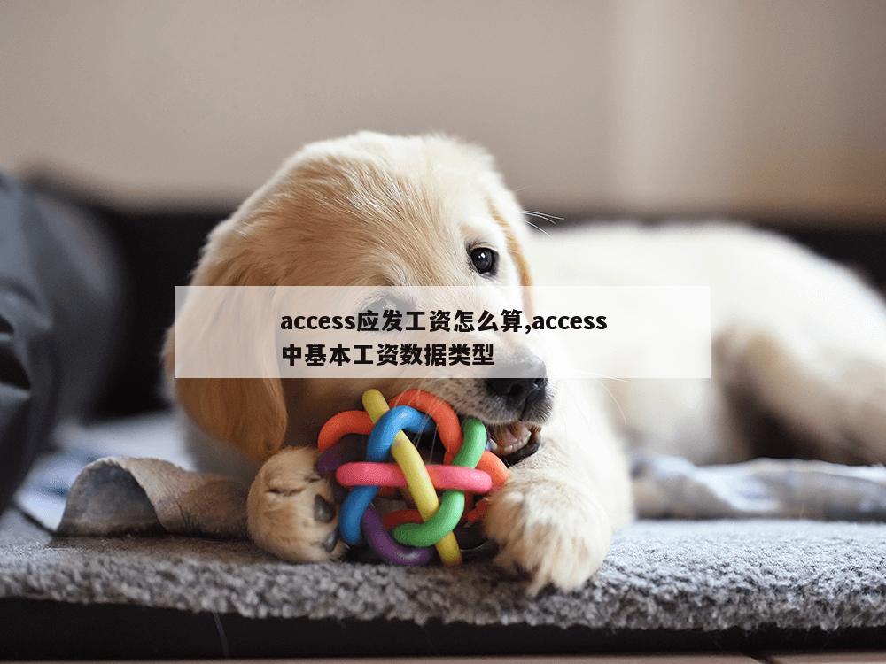 access应发工资怎么算,access中基本工资数据类型