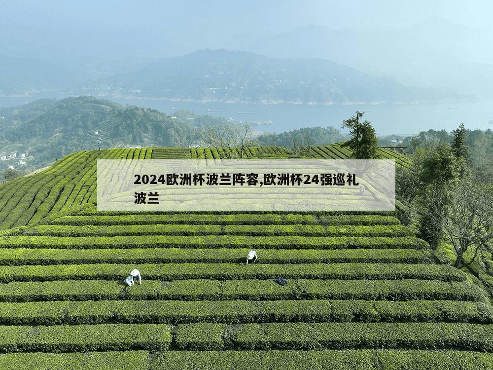 2024欧洲杯波兰阵容,欧洲杯24强巡礼波兰