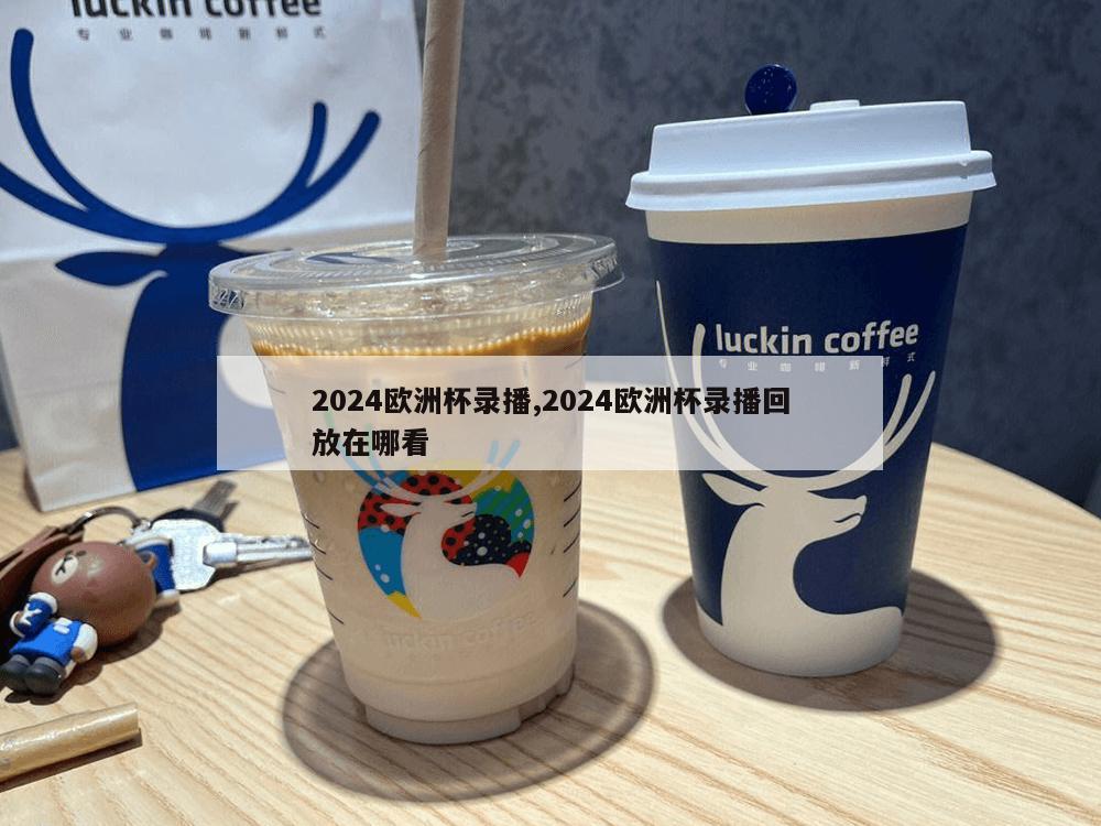 2024欧洲杯录播,2024欧洲杯录播回放在哪看