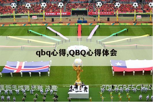 qbq心得,QBQ心得体会