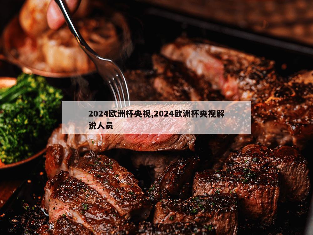 2024欧洲杯央视,2024欧洲杯央视解说人员