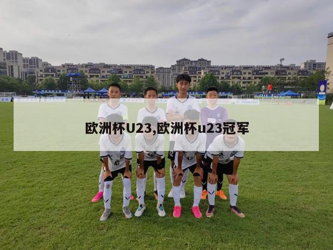 欧洲杯U23,欧洲杯u23冠军