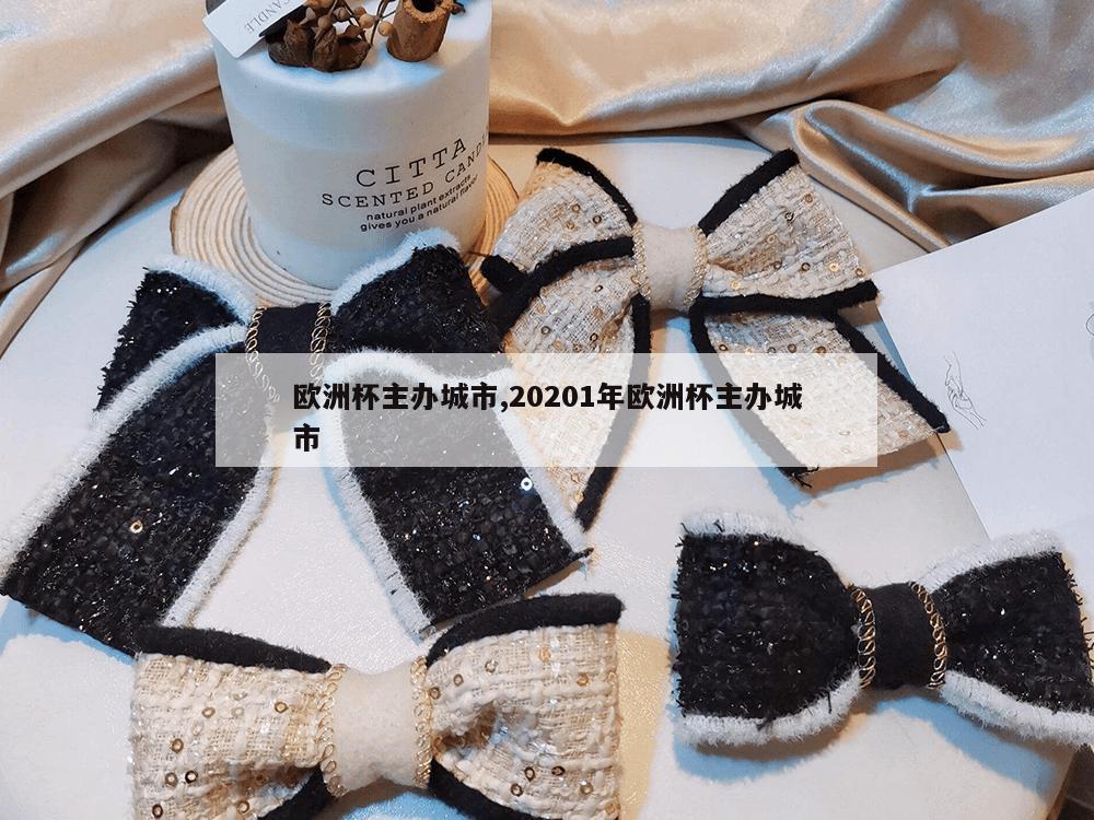 欧洲杯主办城市,20201年欧洲杯主办城市