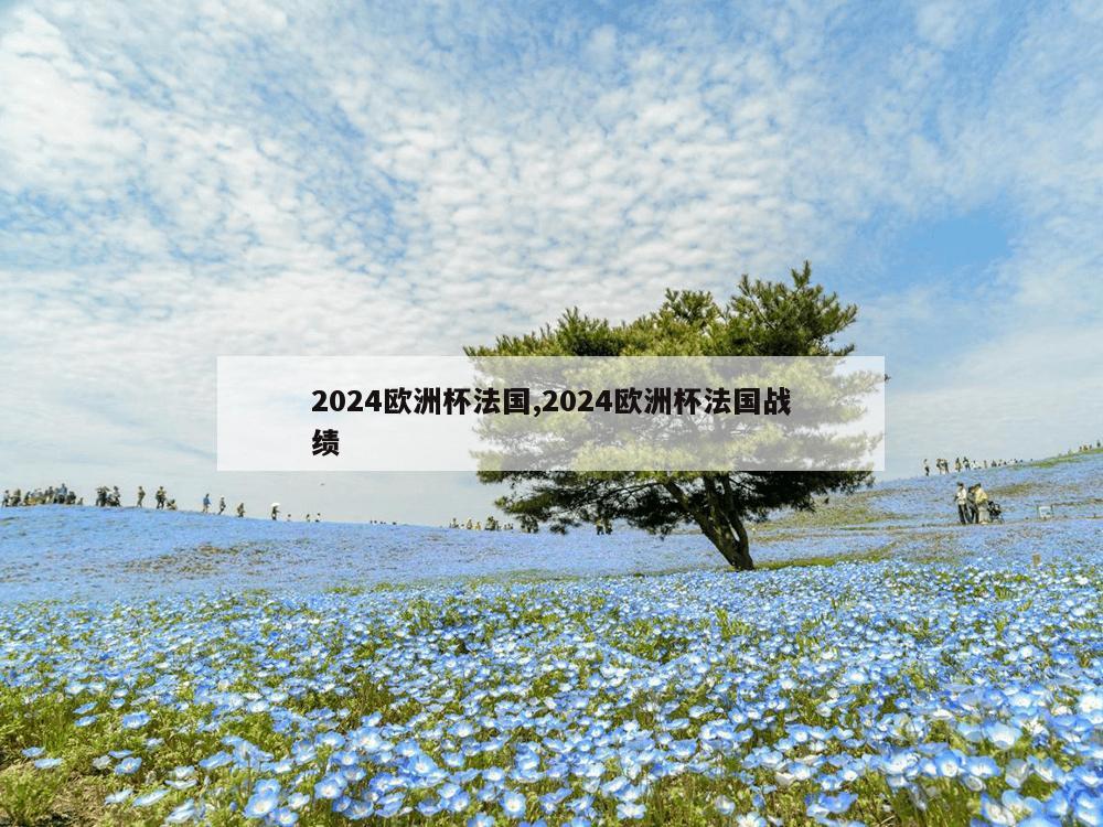 2024欧洲杯法国,2024欧洲杯法国战绩